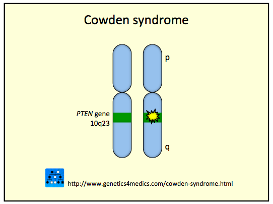 cowdens syndrome